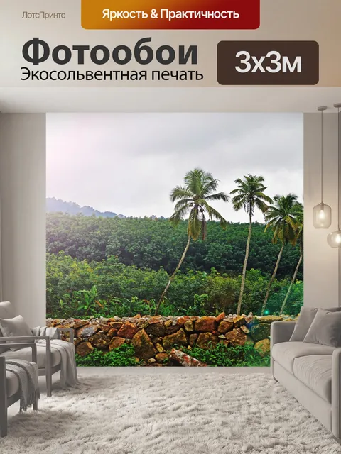 Фотообои Пальмы