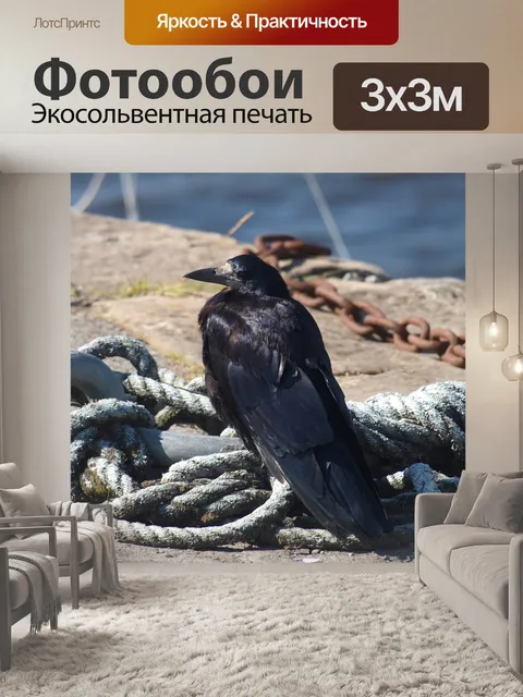Фотообои Птица