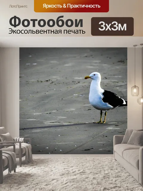 Фотообои Птица