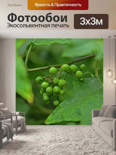 Фотообои Листья