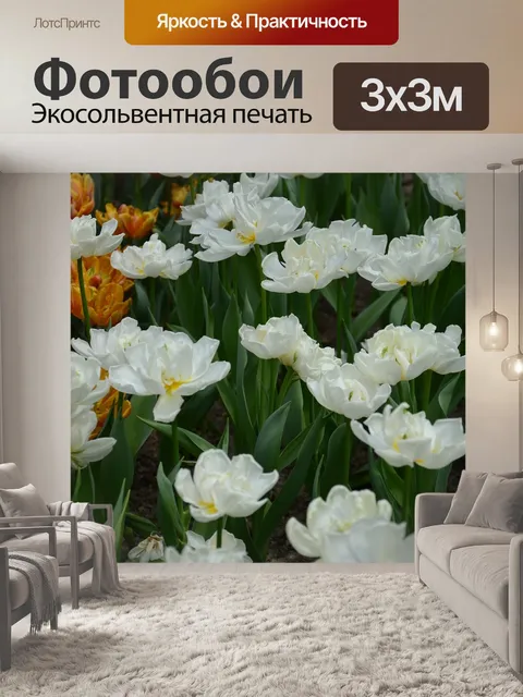 Фотообои Лист