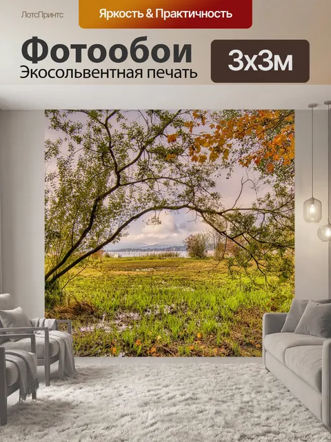 Фотообои Деревья