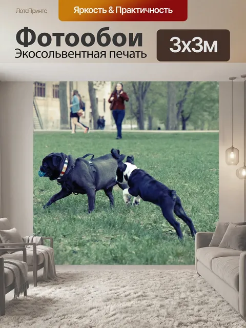 Фотообои Собаки
