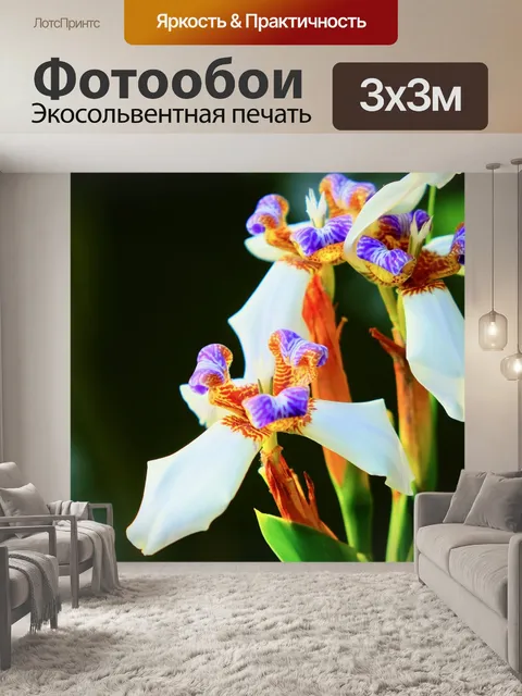 Фотообои Цветок