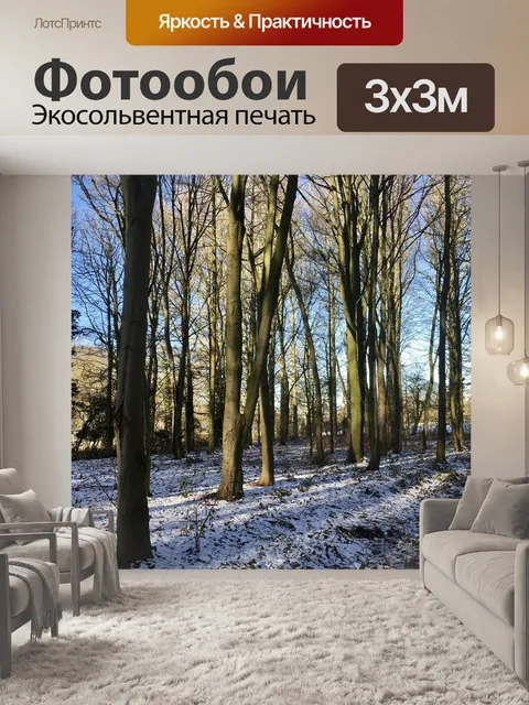 Фотообои Деревья