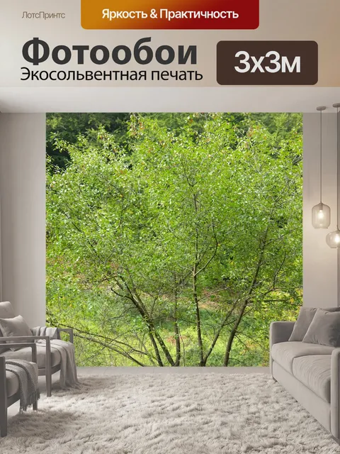 Фотообои Дерево