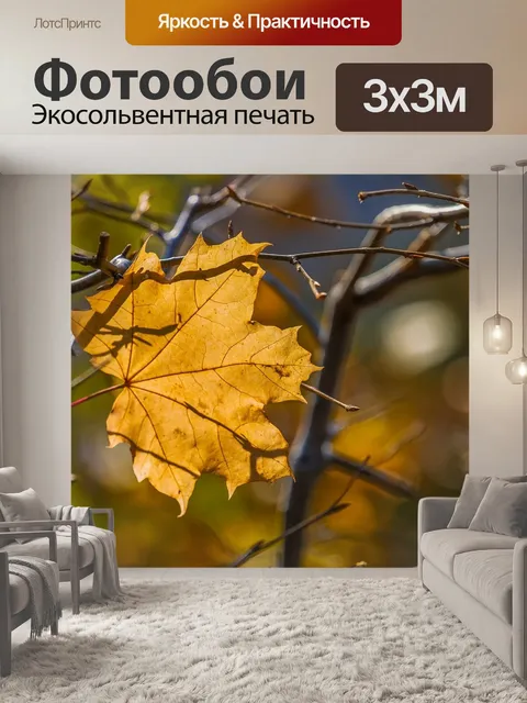 Фотообои Клен