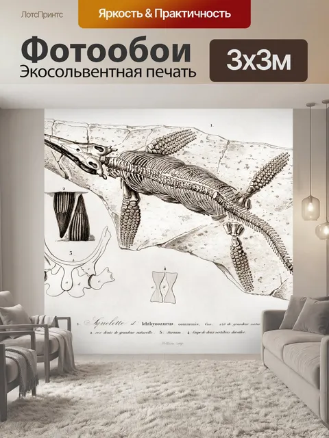 Фотообои Ихтиозавр динозавр винтаж старый