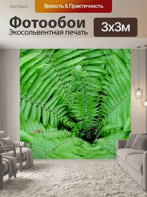 Фотообои Папоротник