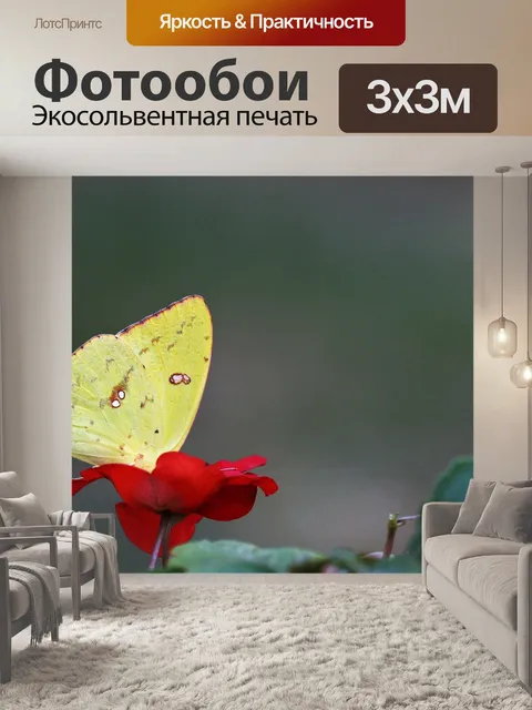 Фотообои Желтый фон бабочки