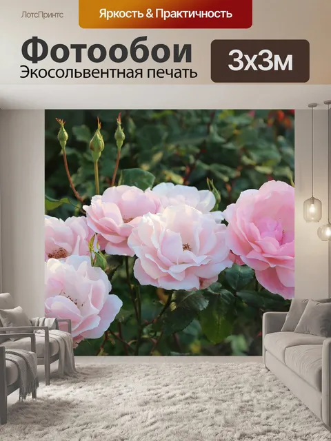 Фотообои Розы