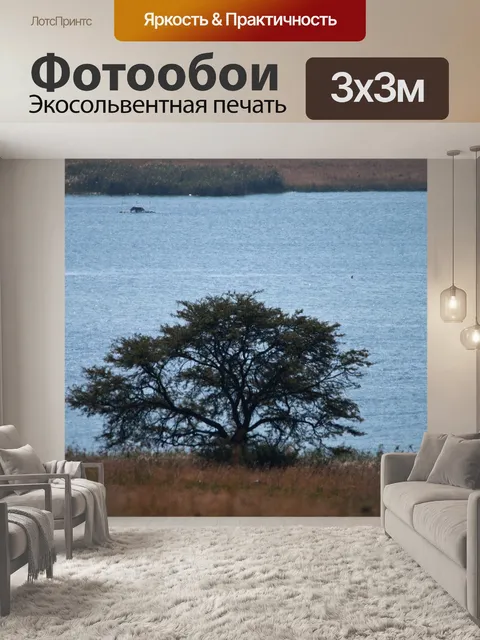 Фотообои Дерево на краю плотины