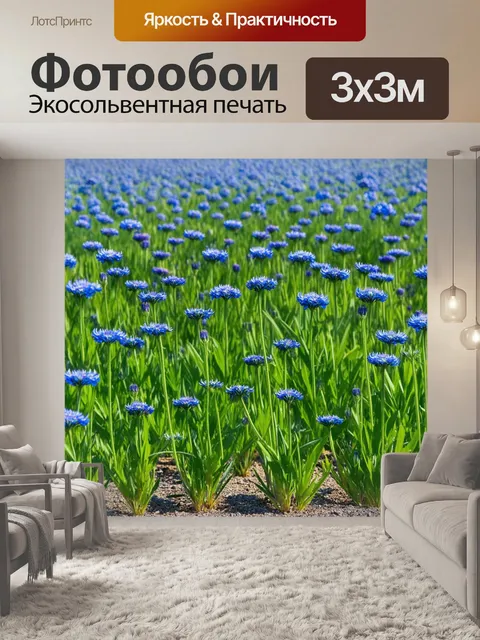 Фотообои поле васильков, посаженных в строгом порядке, создавая удивительный геометрический узор
