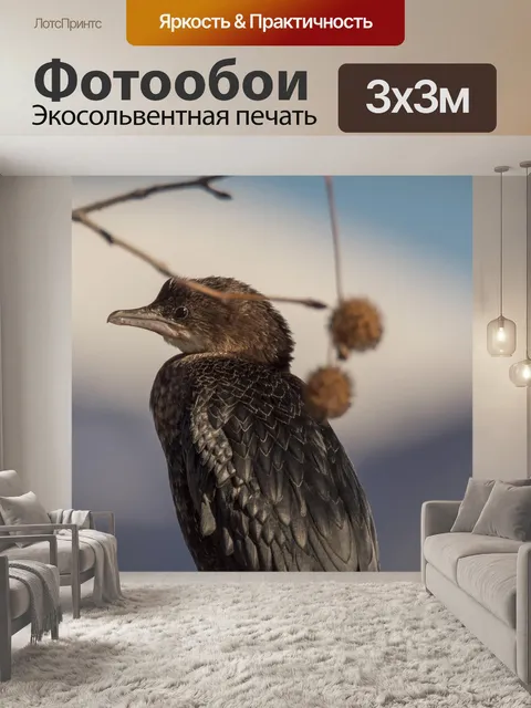 Фотообои Птица