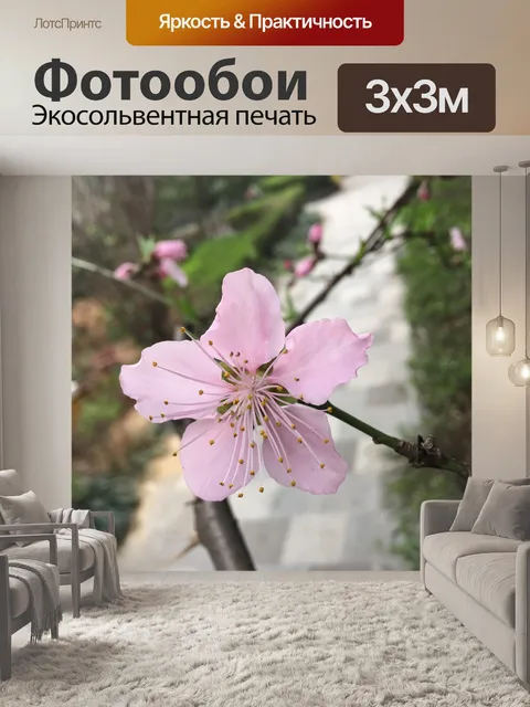 Фотообои Цветение персика