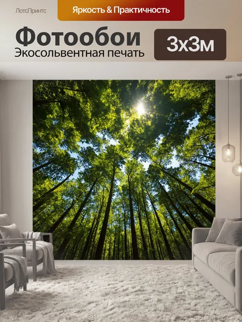 Фотообои лес с высокими зелеными деревьями, солнечные лучи проникают сквозь листву, создавая узоры света и тени