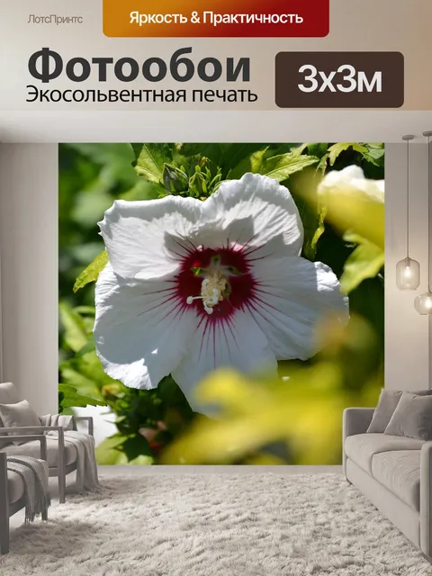 Фотообои Цветы