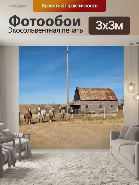 Фотообои Четыре лошади яблочных губ