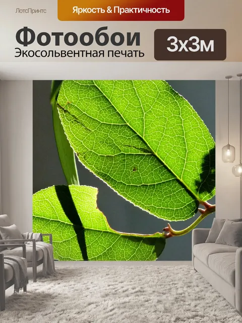 Фотообои Листья