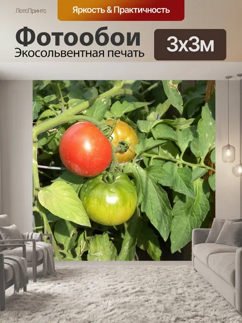 Фотообои Помидор