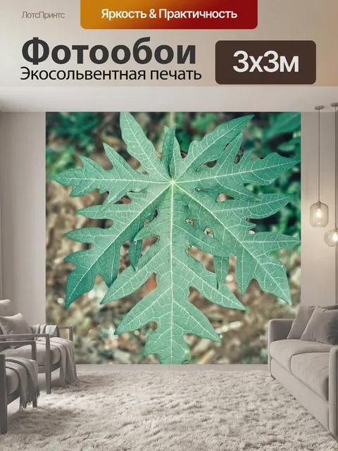 Фотообои Папайя листья