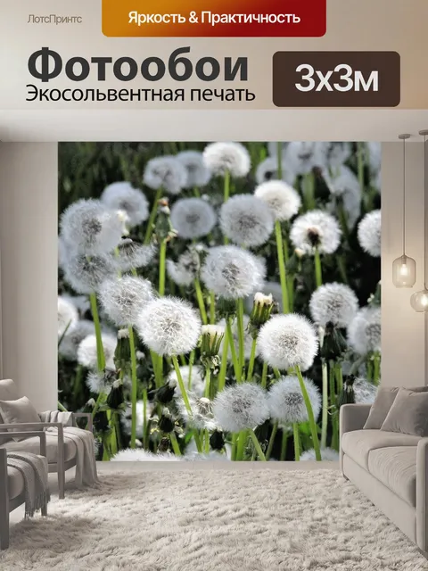 Фотообои Одуванчики