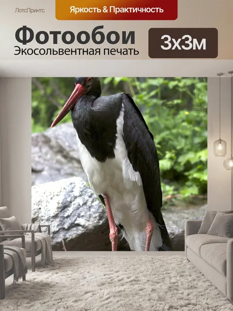 Фотообои Аист