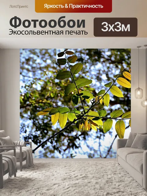 Фотообои Лес