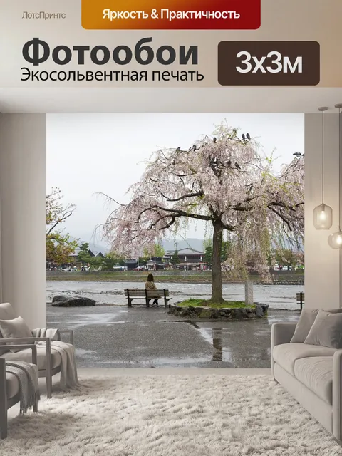 Фотообои Сакура