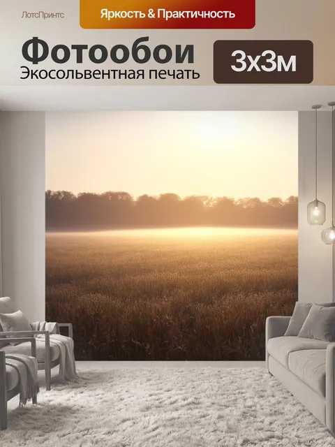 Фотообои поле, усеянное утренним туманом, в лучах восходящего солнца