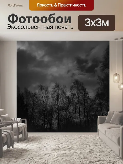 Фотообои Черное и белое
