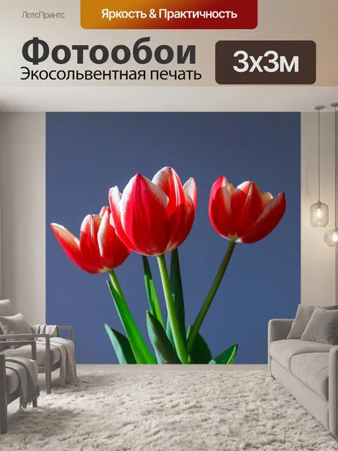 Фотообои Тюльпаны