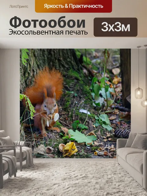 Фотообои Белка в саду