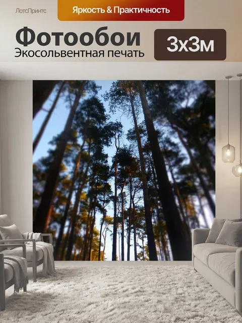 Фотообои Деревья