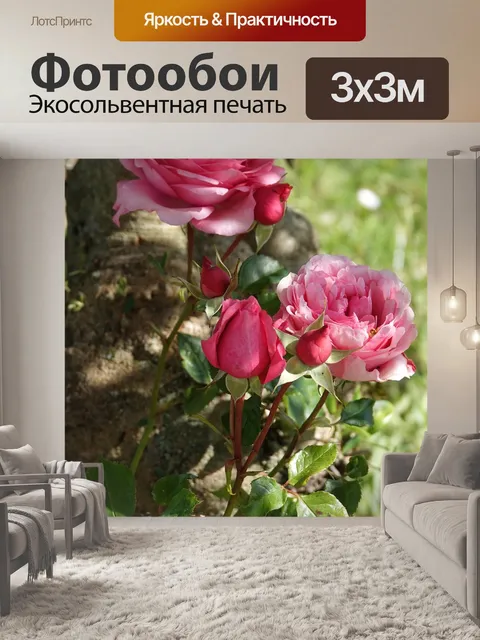 Фотообои Розы