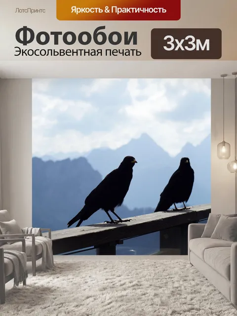 Фотообои Горная галка