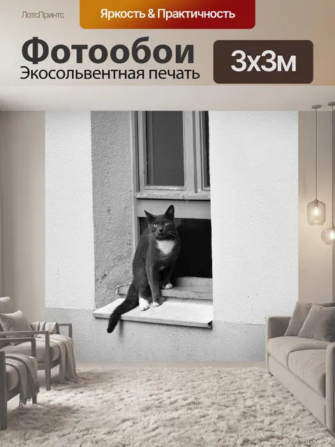 Фотообои Кот у окна