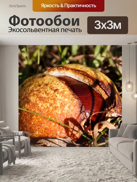 Фотообои Кастанье