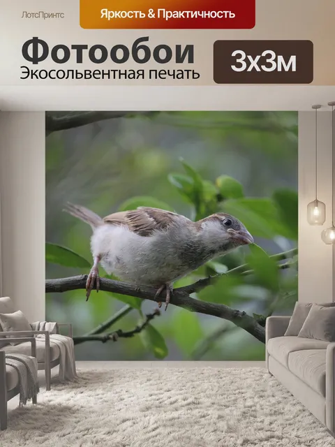 Фотообои Птицы