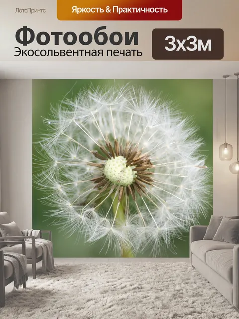 Фотообои Одуванчик