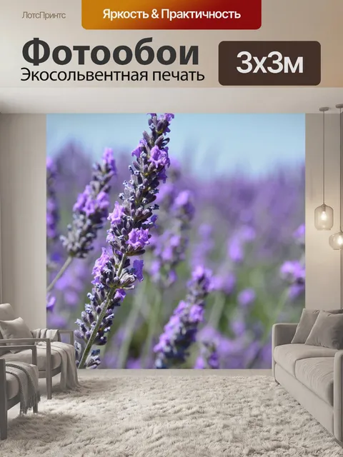 Фотообои Лаванда