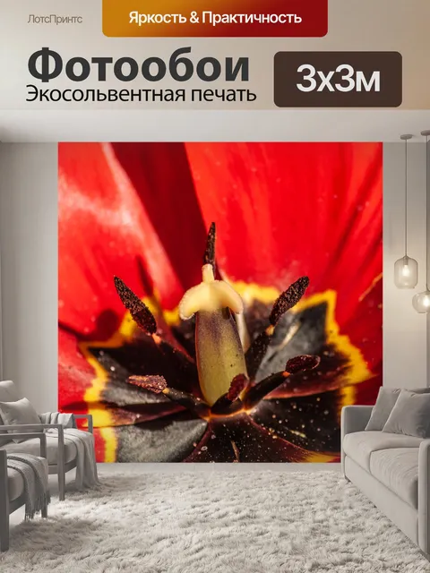 Фотообои Макрос