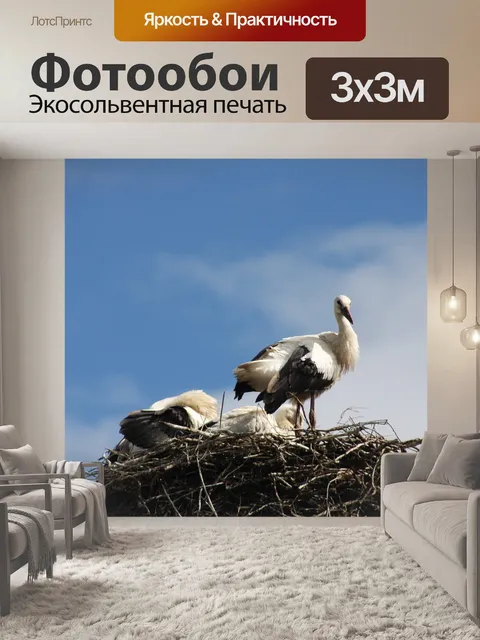 Фотообои Природа