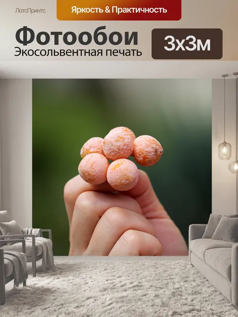 Фотообои Фрукты