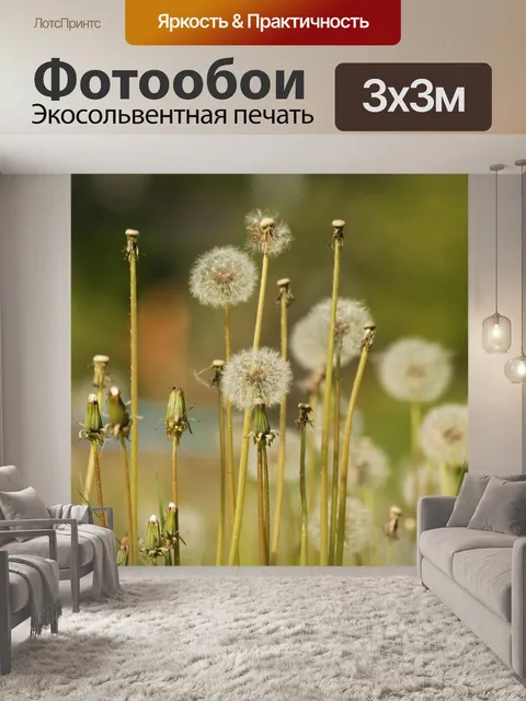 Фотообои Одуванчики