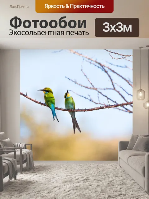 Фотообои Золотистая щурка