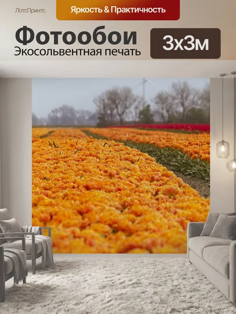 Фотообои Тюльпаны