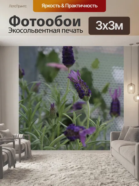 Фотообои Лаванда