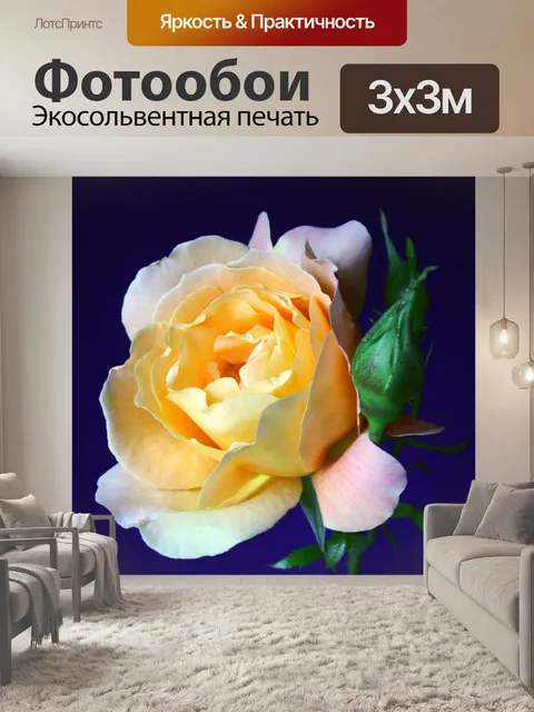 Фотообои Цветок