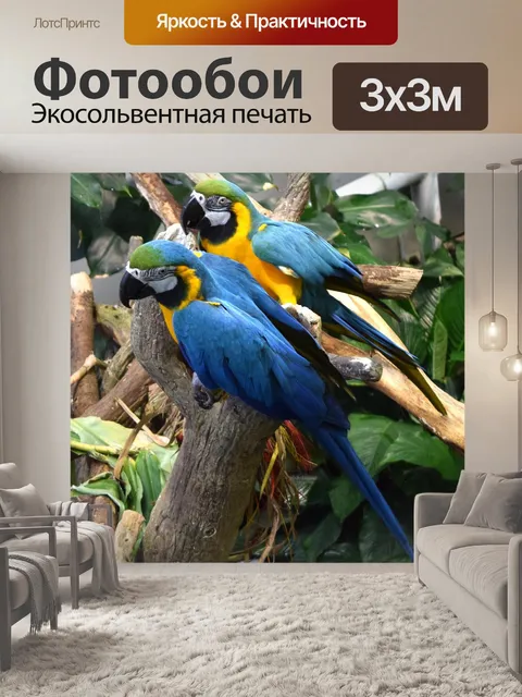 Фотообои Попугаи